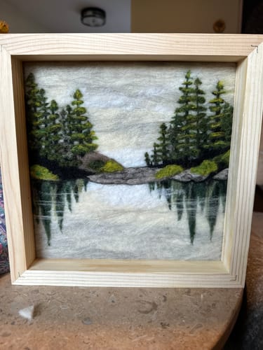 Customer photo review of Lake Reflections Needle Felting Kit