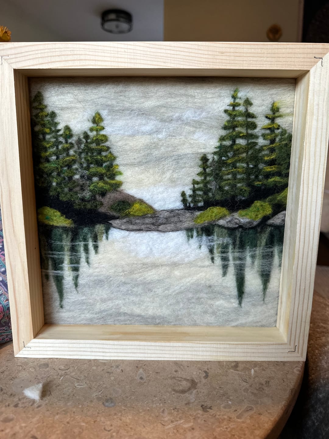 Customer photo review of Lake Reflections Needle Felting Kit