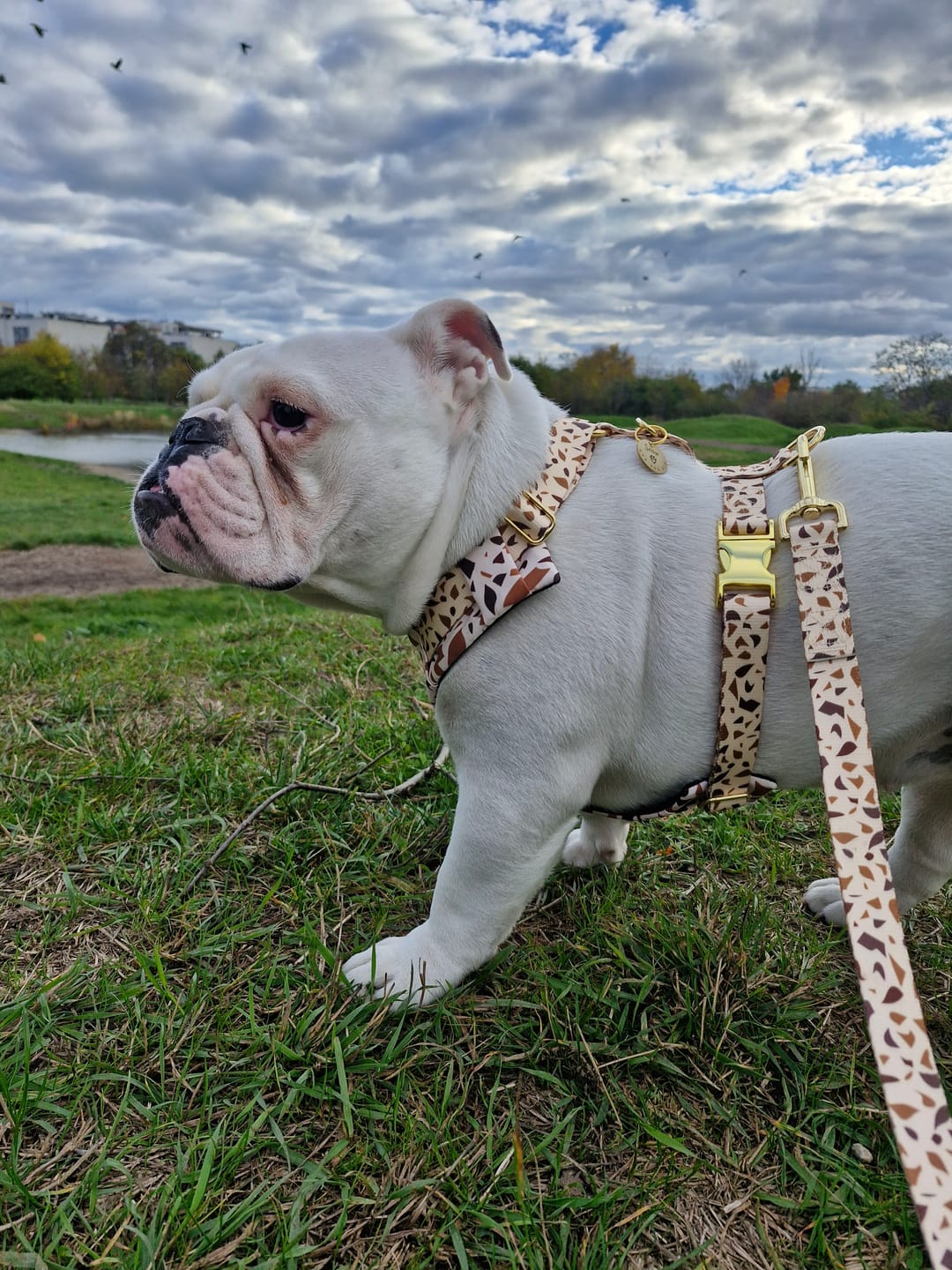 Customer photo review of Smycz miejska "Beige Terrazzo" - złote okucia