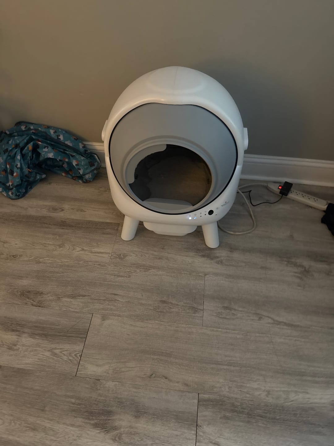 Customer photo review of [🔥Fall Sale] Orbitie with Wide Opening Self Cleaning Litter Box