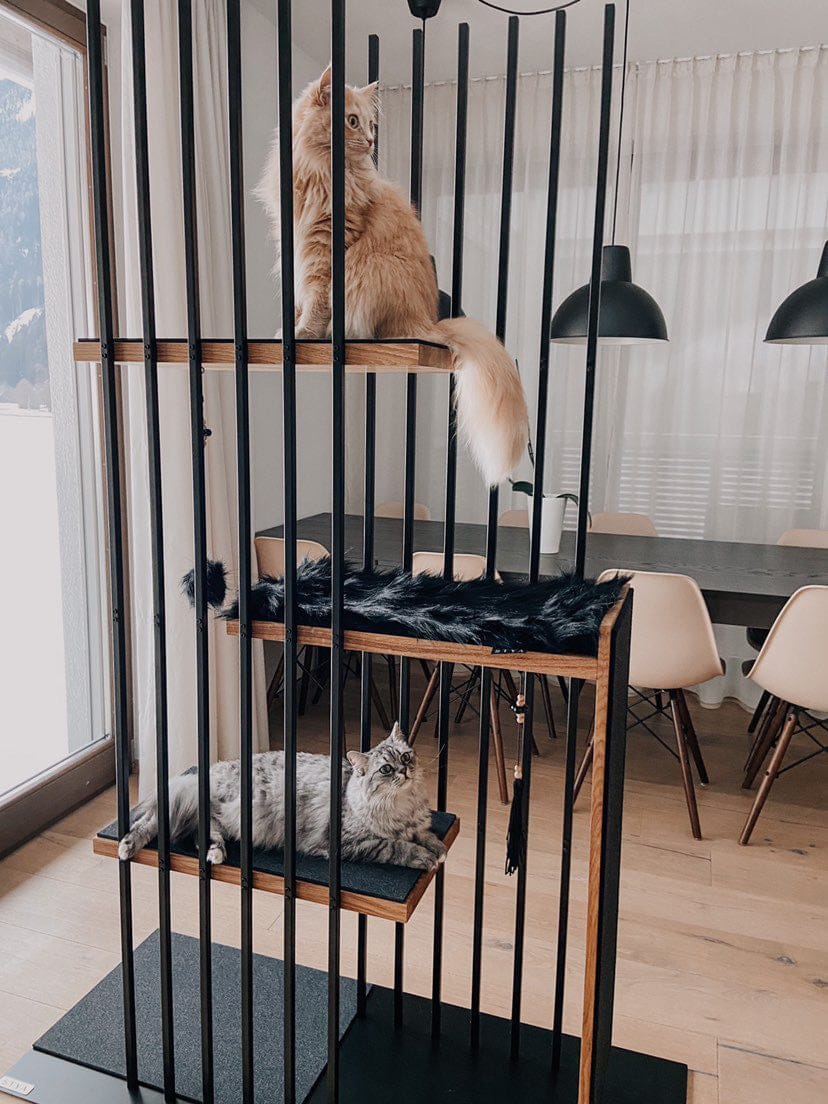 Customer photo review of STYA Katzen Kratzbaum MS210 | Schwarz
