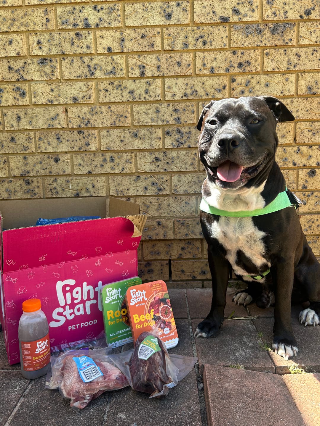 Customer photo review of Turkey Necks for Dogs
