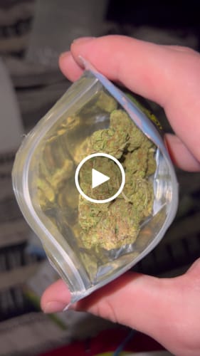 Customer video review of Skunk Junction