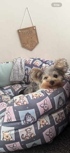 Customer photo review of Disney© Dog Bed - Winnie + Friends