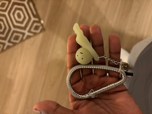 Customer photo review of OUROBOROS CARABINER