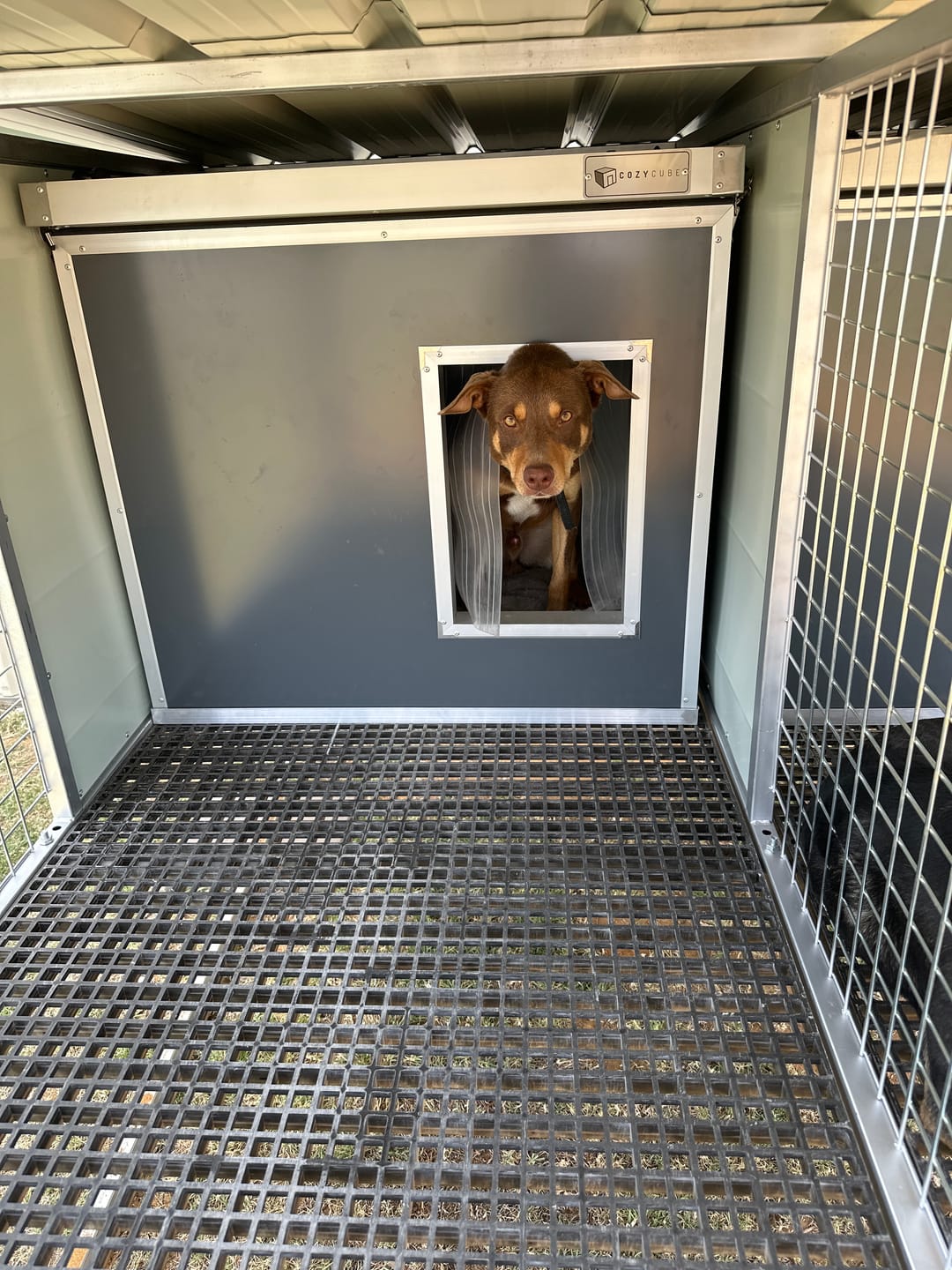 Customer photo review of CozyCube Coldroom Panel Insulated Dog House