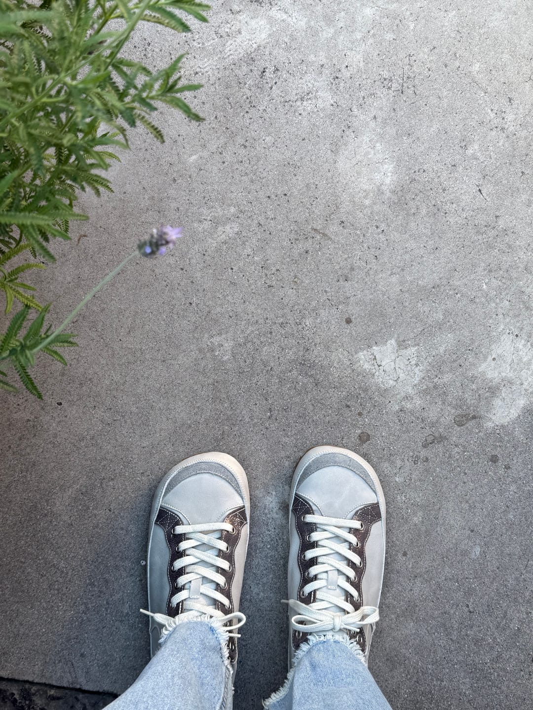 Customer photo review of Zapatilla A2. Plateada