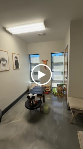 Customer video review of Hunter the Fox Pendulum Clock