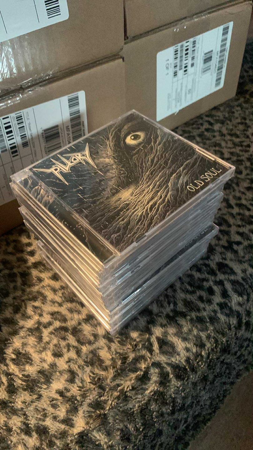 Customer photo review of CD Jewel Cases with 2-Panel Inserts