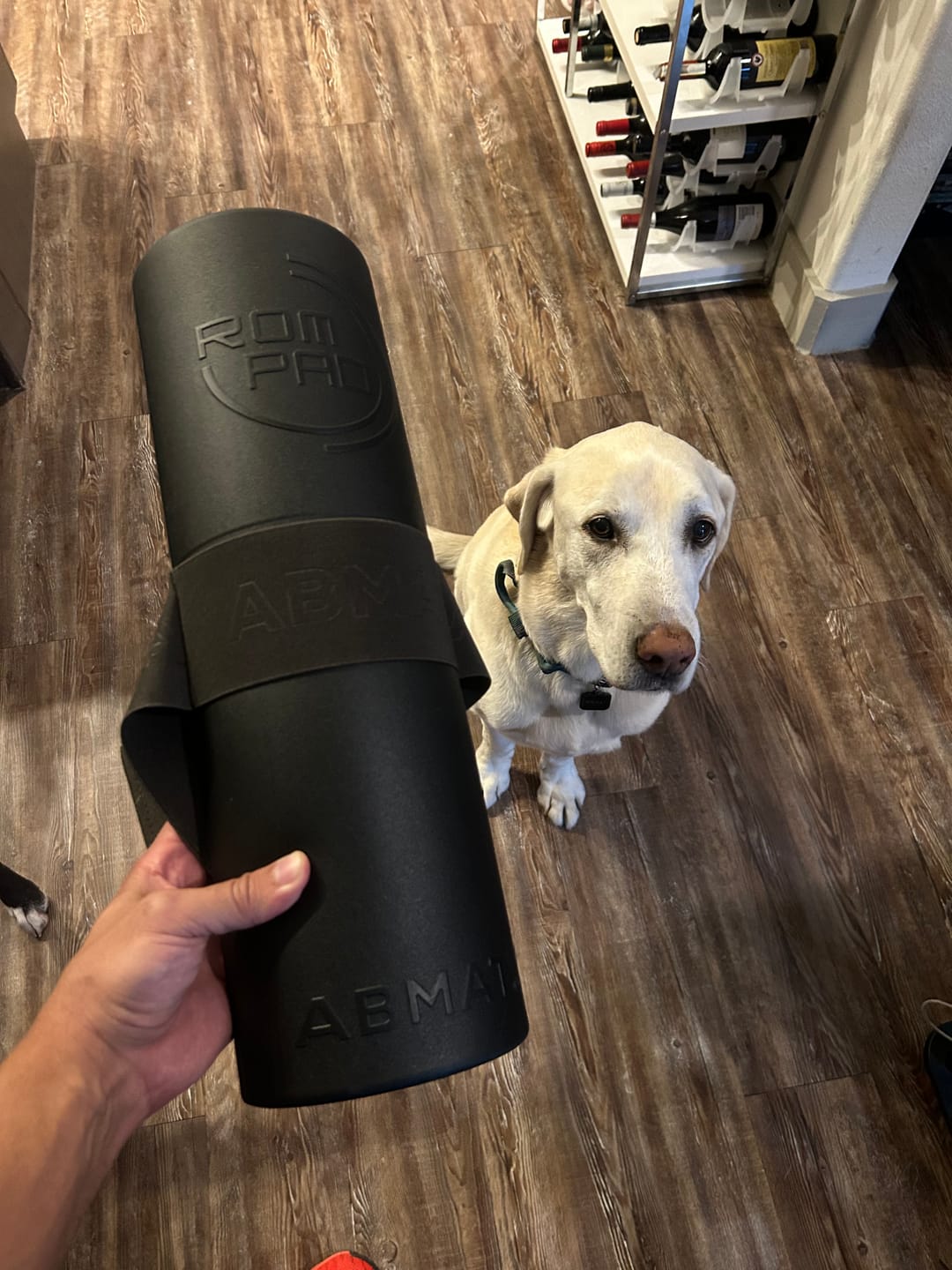 Customer photo review of ROM PAD