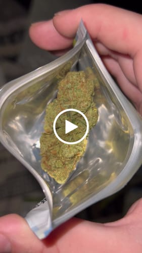 Customer video review of Gas Station