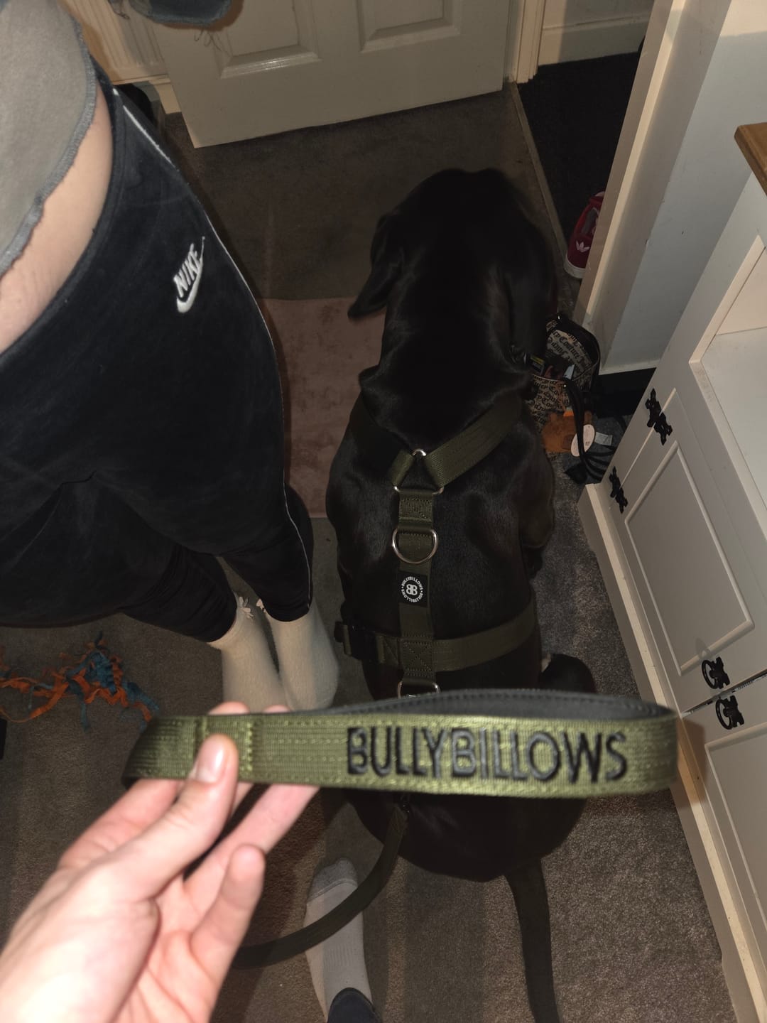 Customer photo review of 1.4m Swivel Combat Lead | Anti-Tangle & Secure Clip - Khaki