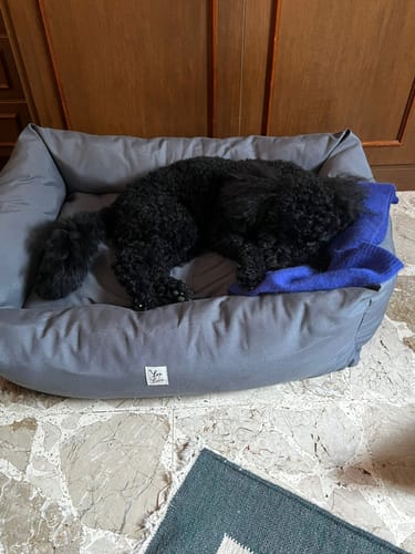 Customer photo review of Cover Cotone Siena Navy