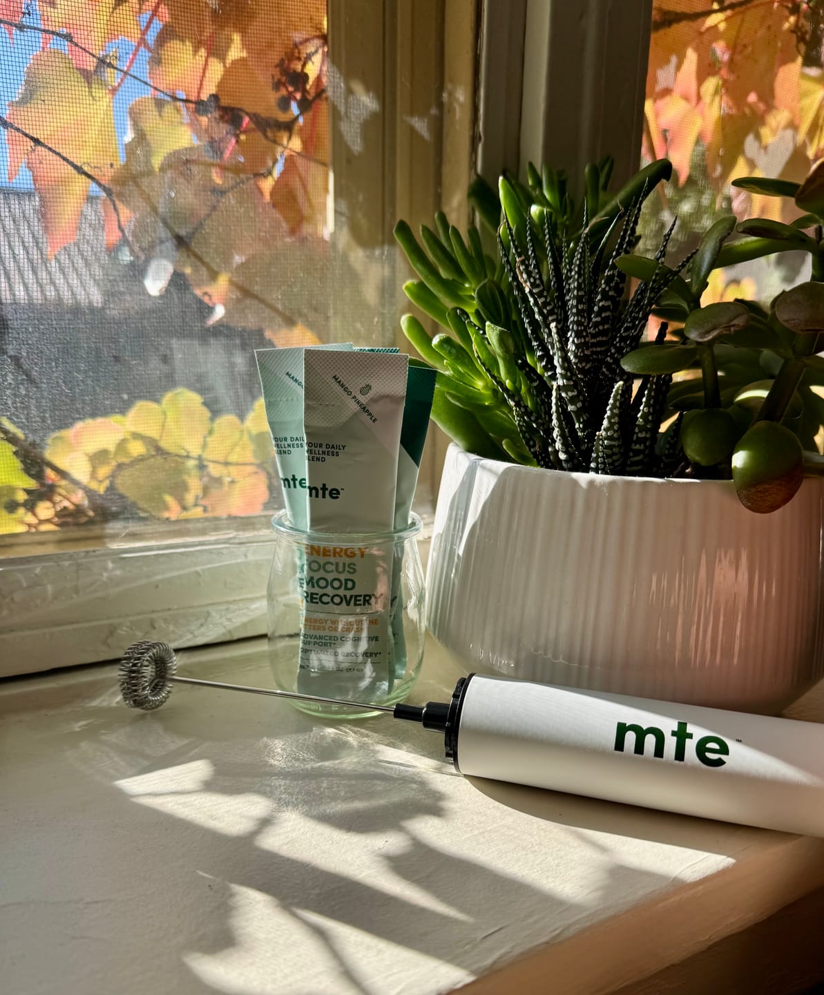 Customer photo review of MTE: More Than Energy