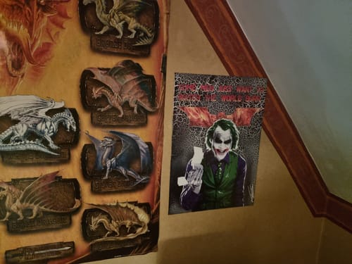 Customer photo review of Watch the world burn - A3 Print
