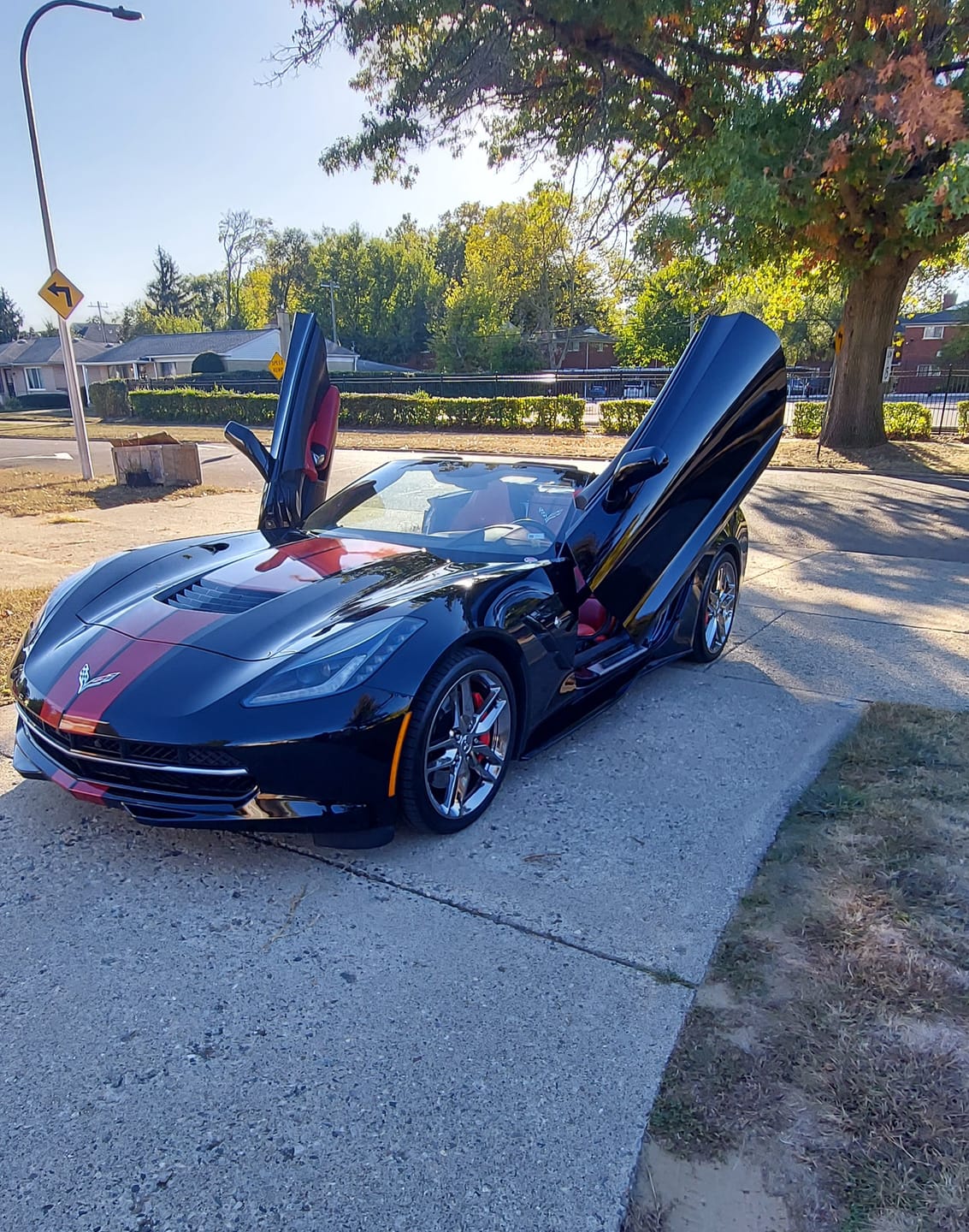 Customer photo review of Corvette C7 Z06 Conversion Side Skirts Rocker Panels