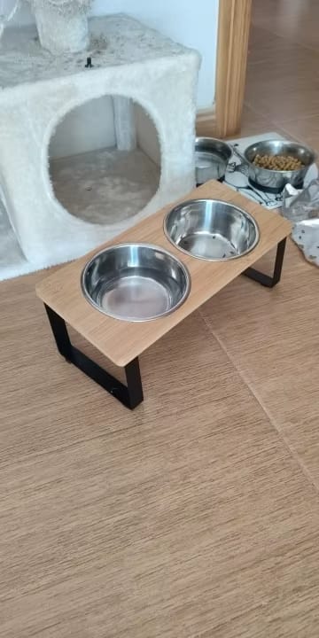 Customer photo review of CatEat - Ergonomischer Napf für gesunde Wirbelsäule und sichere Nahrungsaufnahme