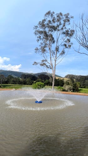 Customer photo review of REEFE RFA240 1HP Pond & Dam Aerator 60,000L/h - Improve Water Quality in Ponds & Dams