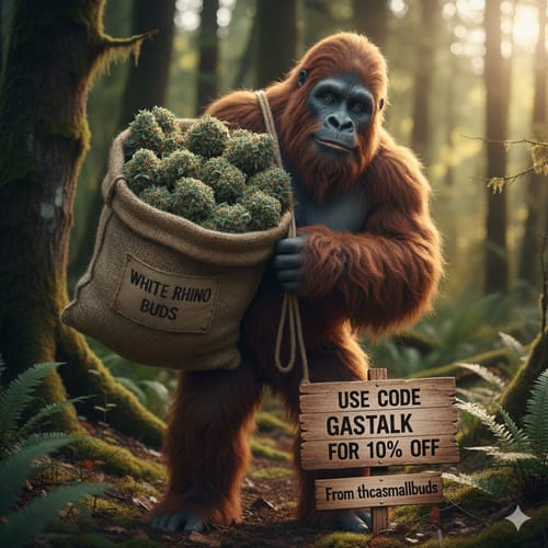 Customer photo review of White Rhino THCA Flower