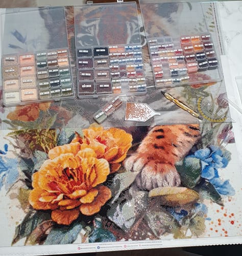 Customer photo review of 5D Diamond Painting – Baby Tiger