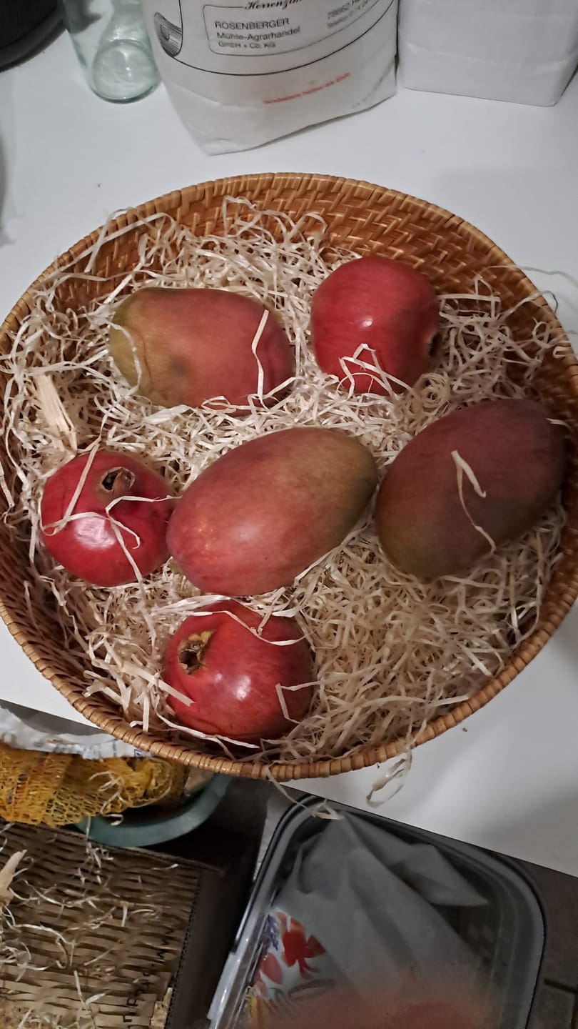 Customer photo review of Mango & Granatapfel Retterbox %