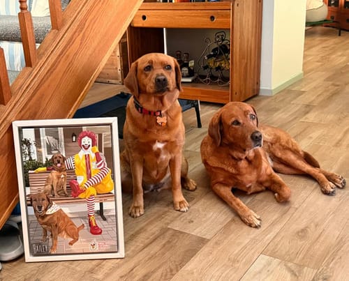 Customer photo review of Pet Art Canvas Wrap