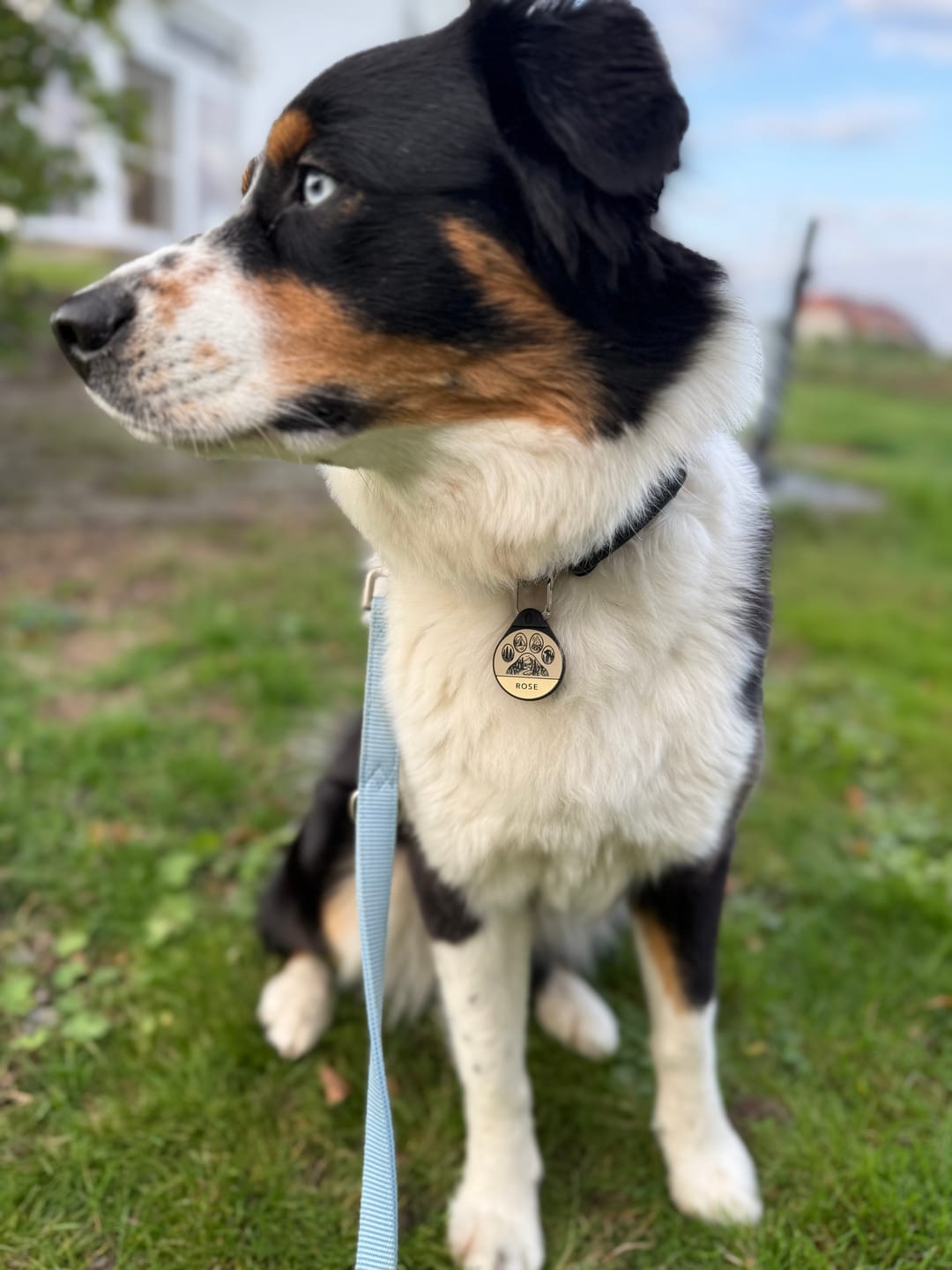 Customer photo review of Trailmark - Silent Dog ID Tag