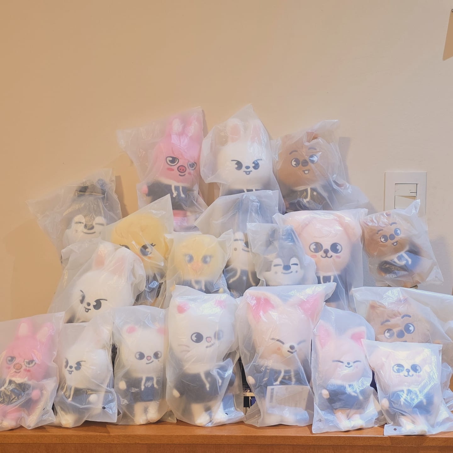 Customer photo review of STRAY KIDS - SKZ'S MAGIC SCHOOL OFFICIAL MD SKZOO PLUSH ORIGINAL VER.