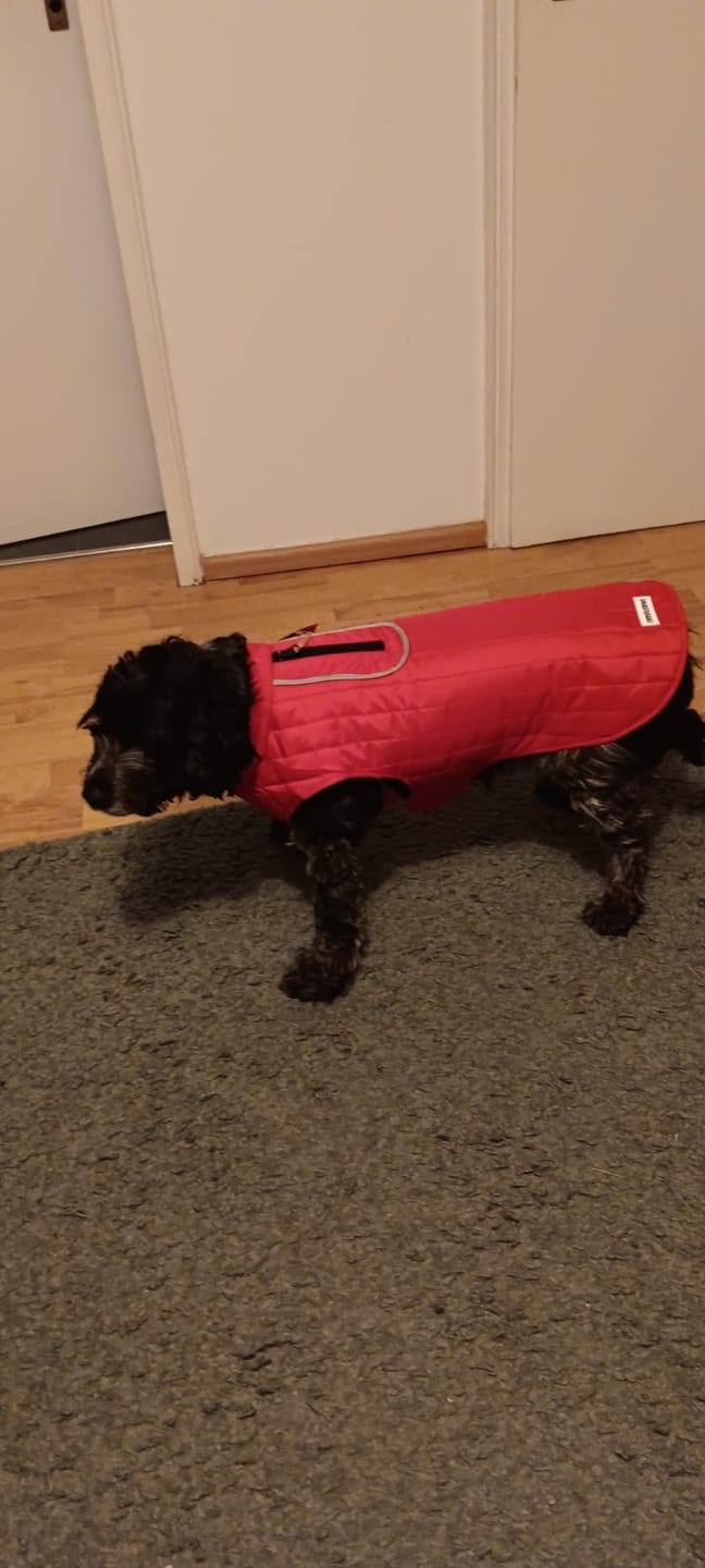 Customer photo review of Emmalove - Wasserdichte Hundeweste