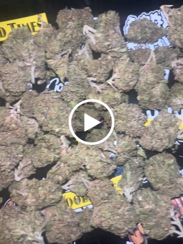 Customer video review of Fresh Lows Lounge