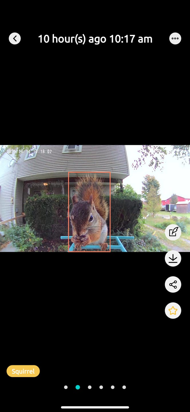 Customer photo review of Birdfy Feeder - AI-Powered Smart Bird Feeder with Camera