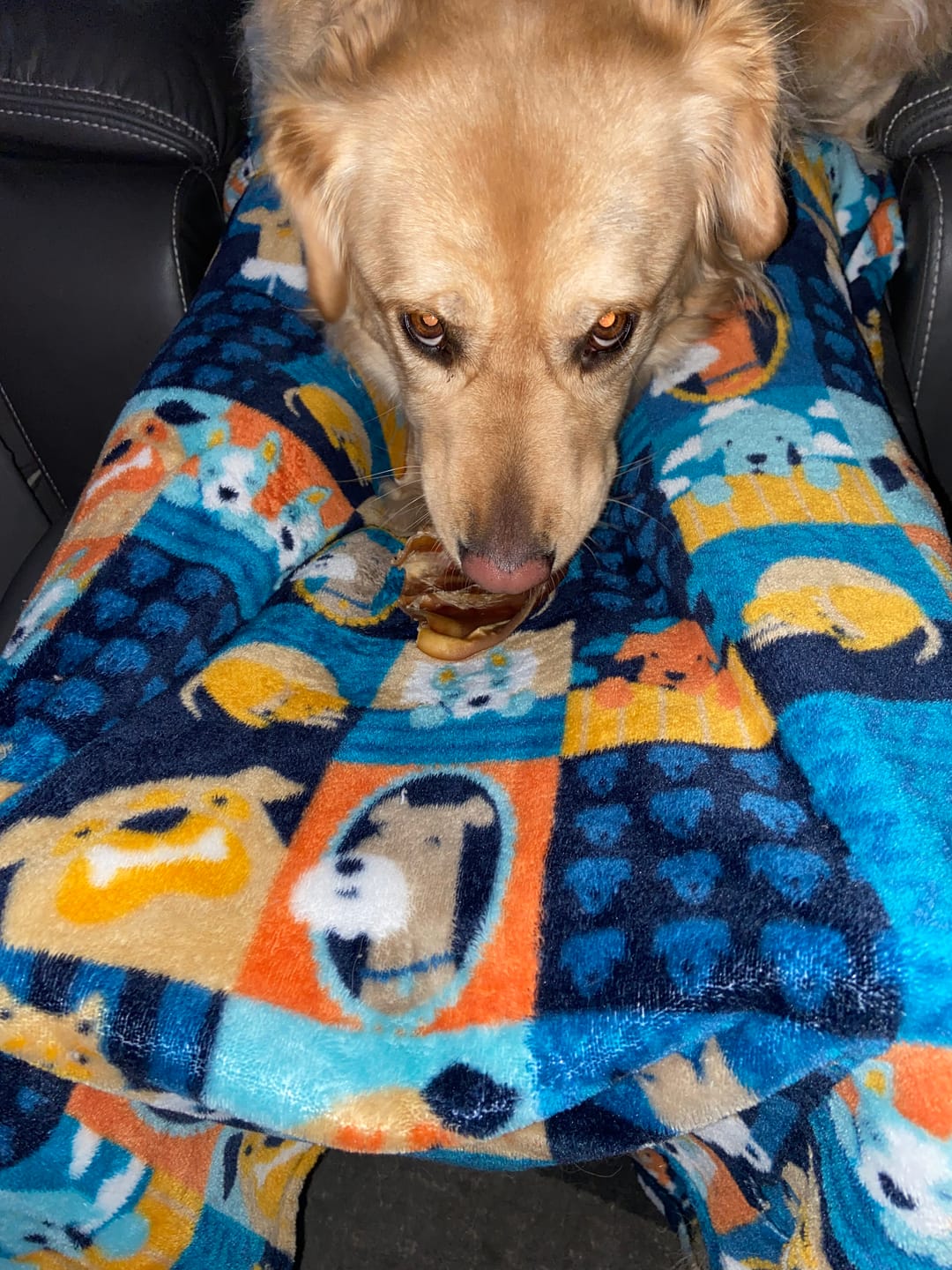 Customer photo review of 12 Inch Braided Jerky Stick