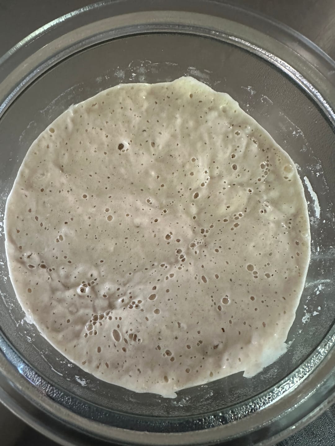 Customer photo review of Sourdough Starter Survival Guide | A Clear, Beginner-Friendly System for Feeding & Maintaining a Healthy Starter