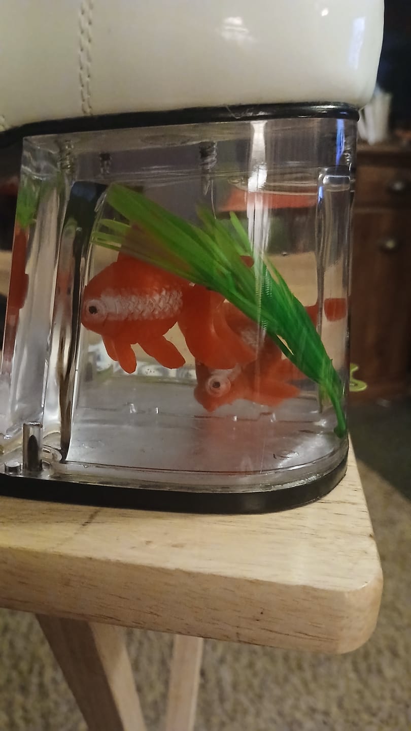 Customer photo review of PIMP-02 White Patent Fish Tank Platform Shoes