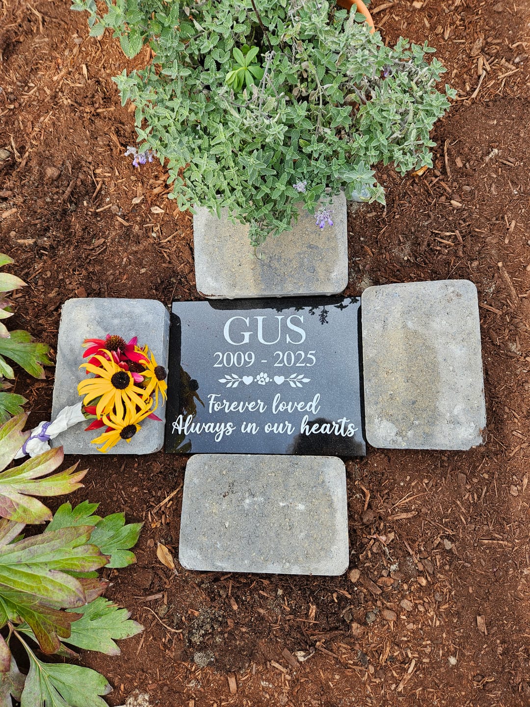 Customer photo review of Outdoor Personalized Pet Memorial Plaque always in our hearts Personalized Outdoor garden marker