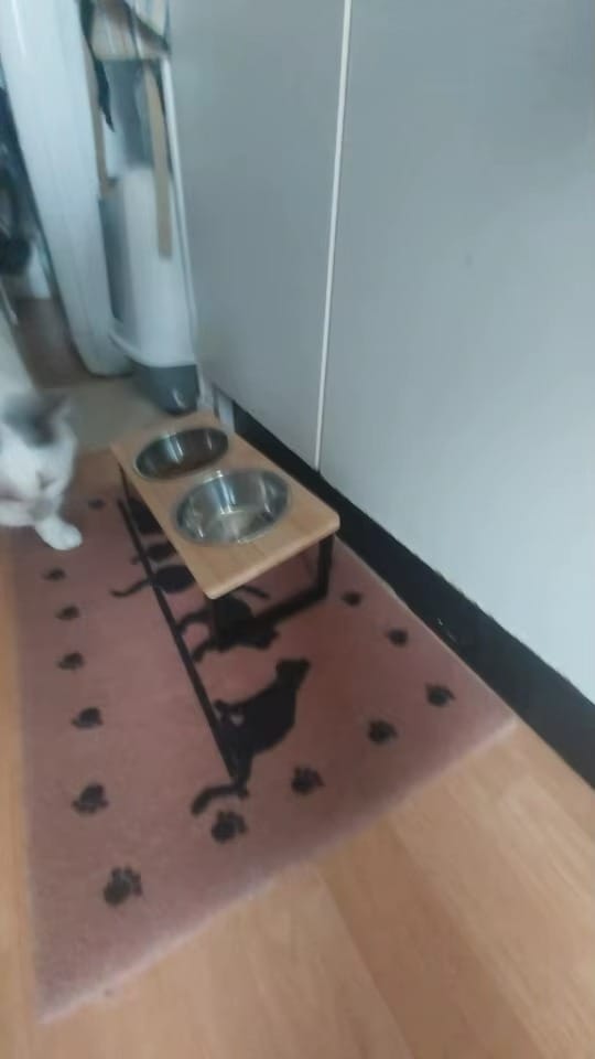 Customer photo review of CatEat - Ergonomischer Napf für gesunde Wirbelsäule und sichere Nahrungsaufnahme