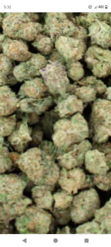 Customer photo review of Gorilla Glue THCA Flower