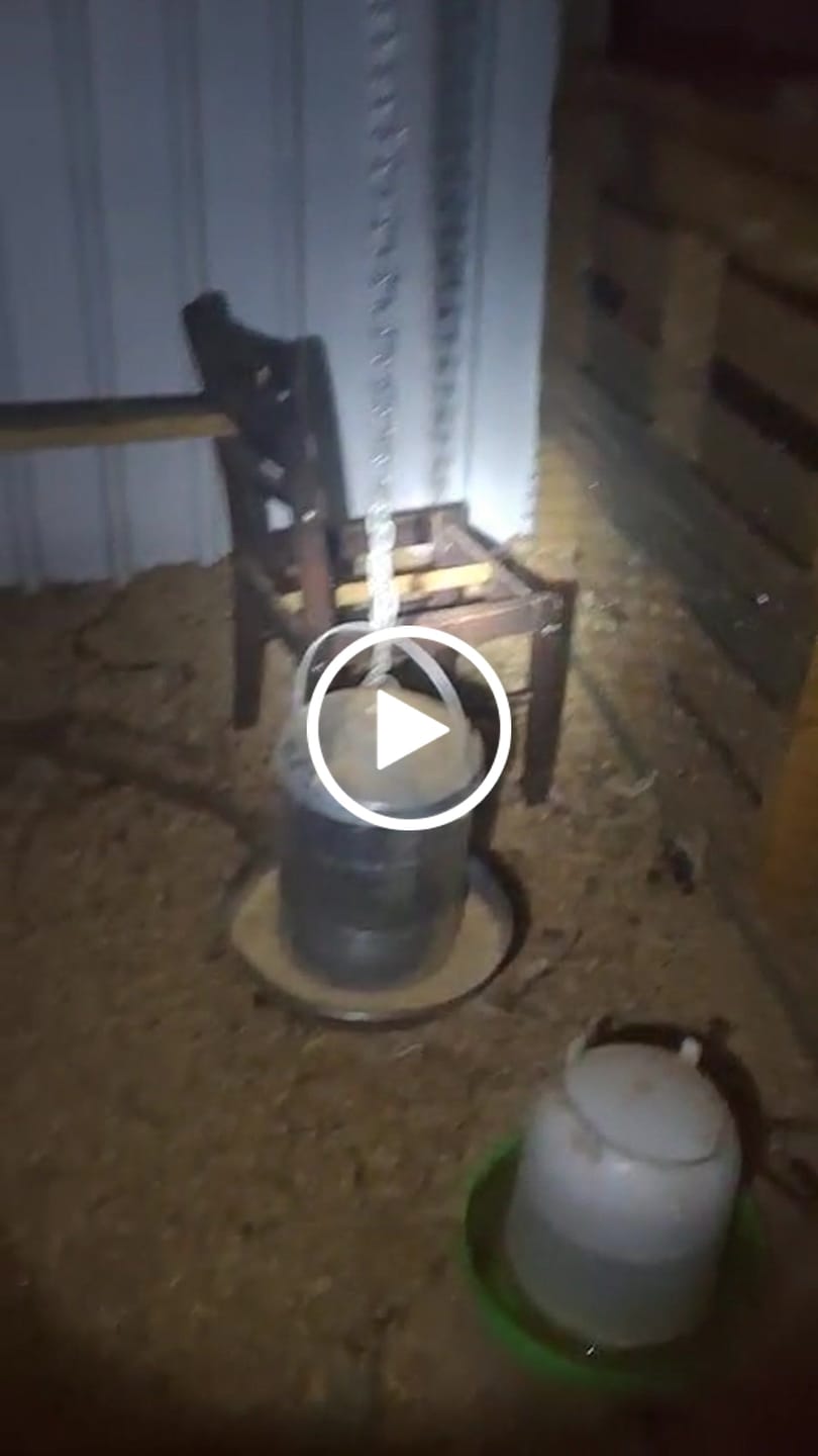 Customer video review of Elevated Chicken Laying Nest Box Roll Away 3-Hole Green