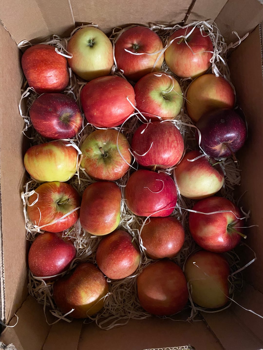 Customer photo review of Apfel Entdeckerbox Bio regional 3kg