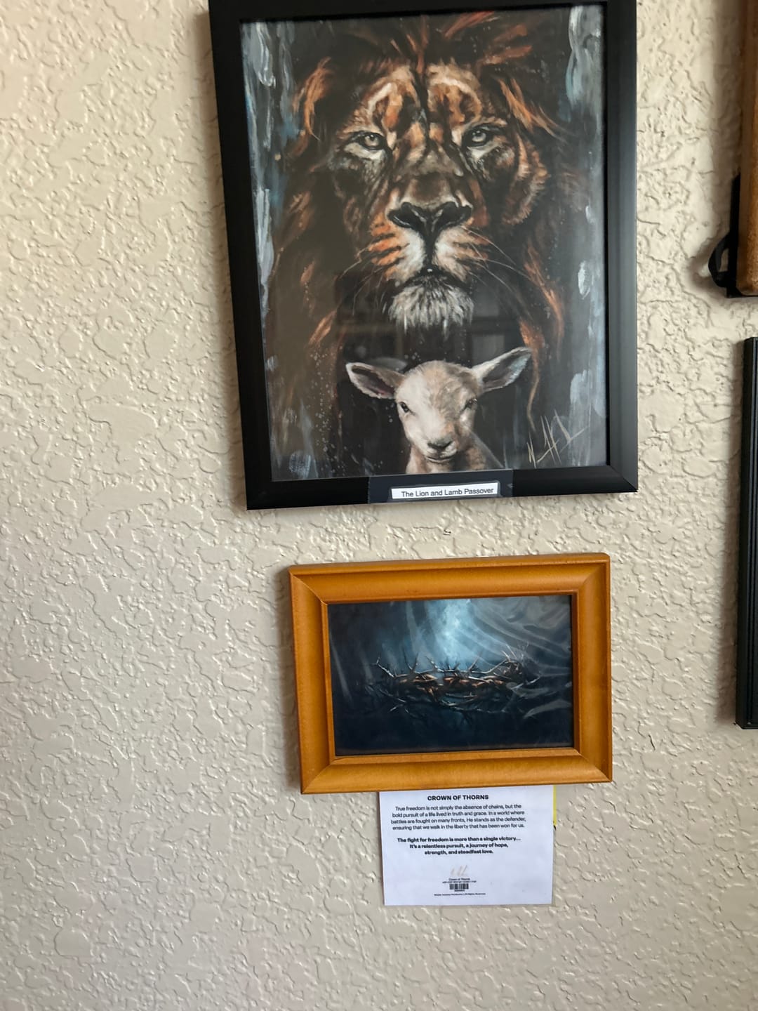 Customer photo review of Crown of Thorns
