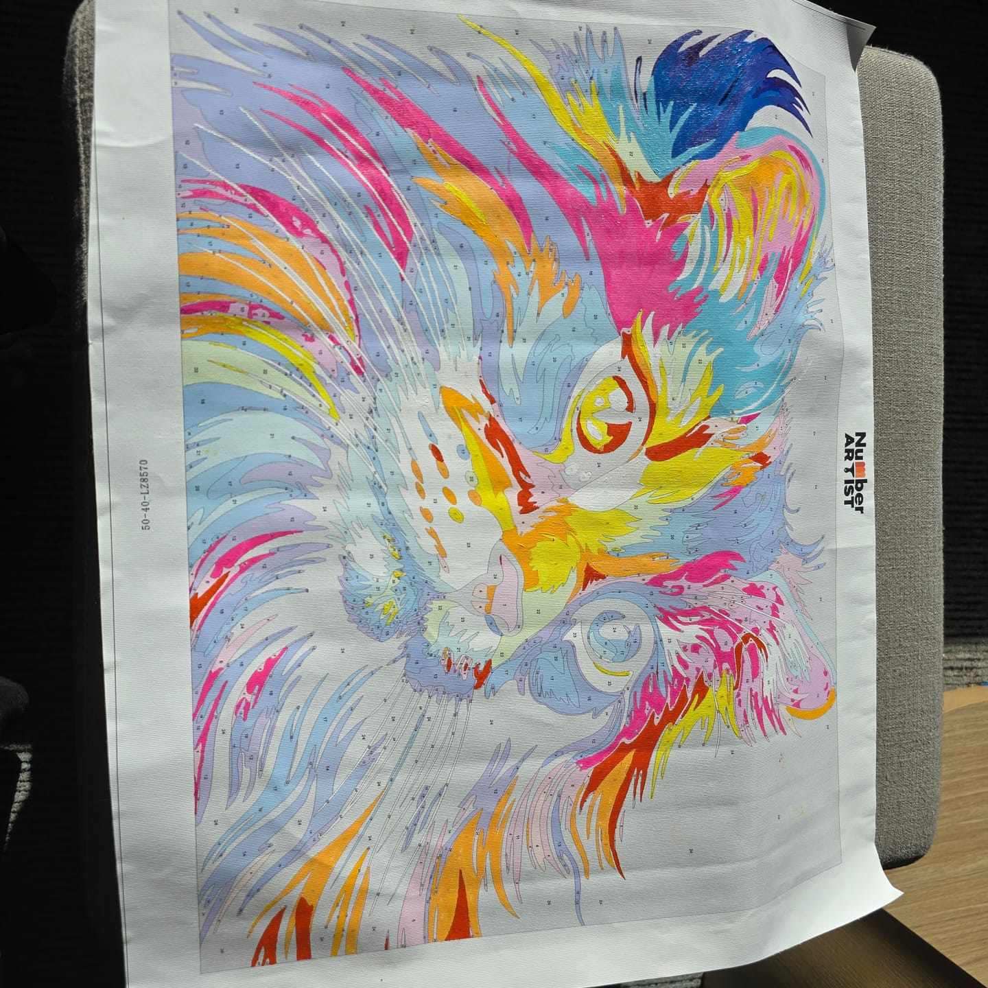 Customer photo review of Colorful Cat