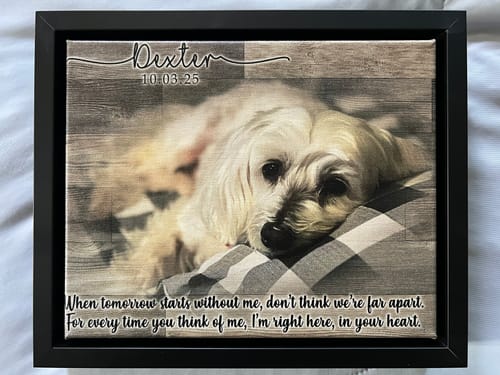 Customer photo review of Colored Pet Memorial Sign
