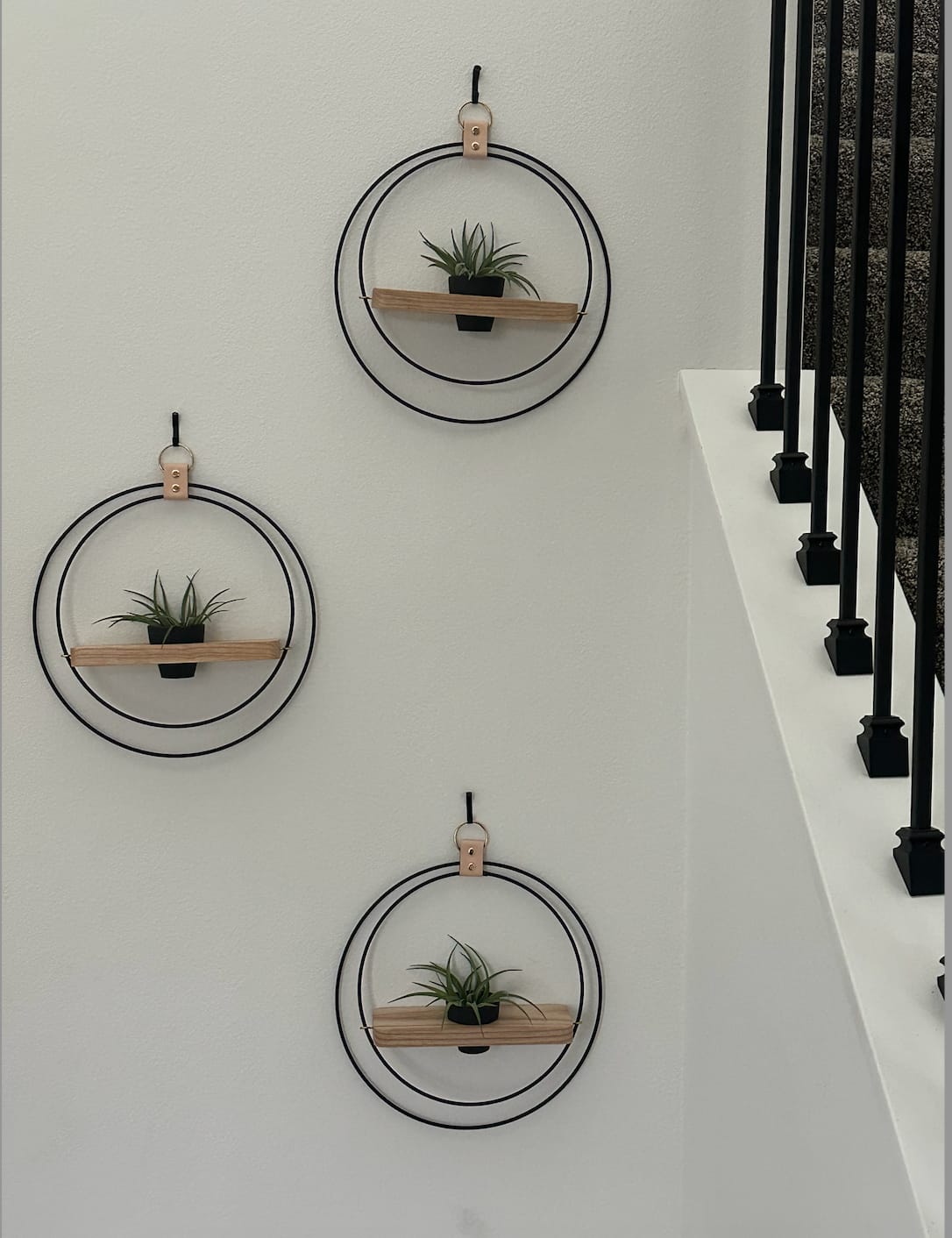 Customer photo review of Air Plant Shelf + Pot Trio