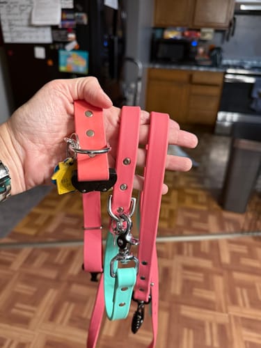 Customer photo review of Adjustable Biothane Quick Release Dog Collar