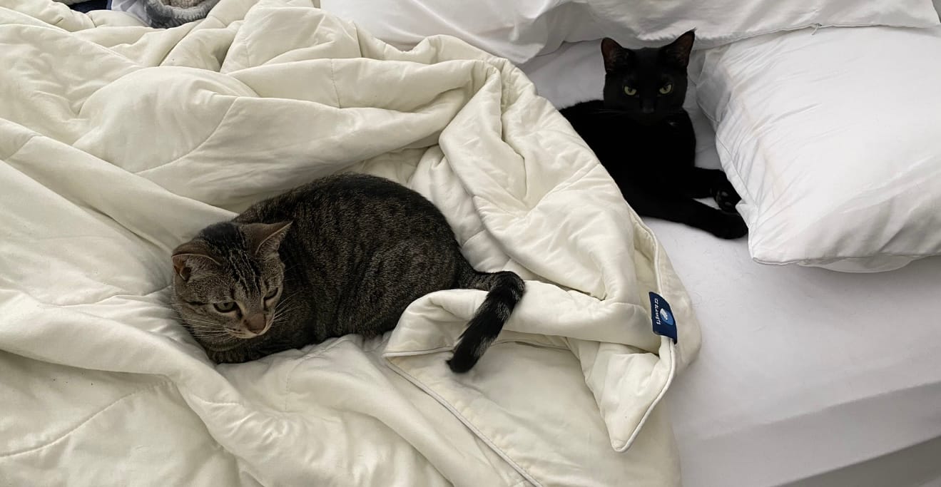 Customer photo review of The Ice Blanket