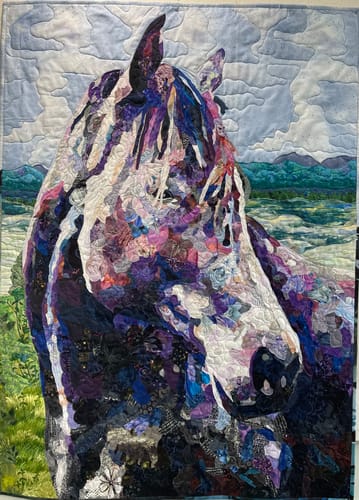 Customer photo review of Coneflower in Night