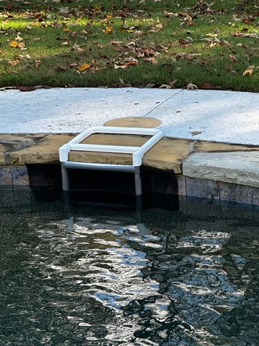 Customer photo review of Skimmer Saver