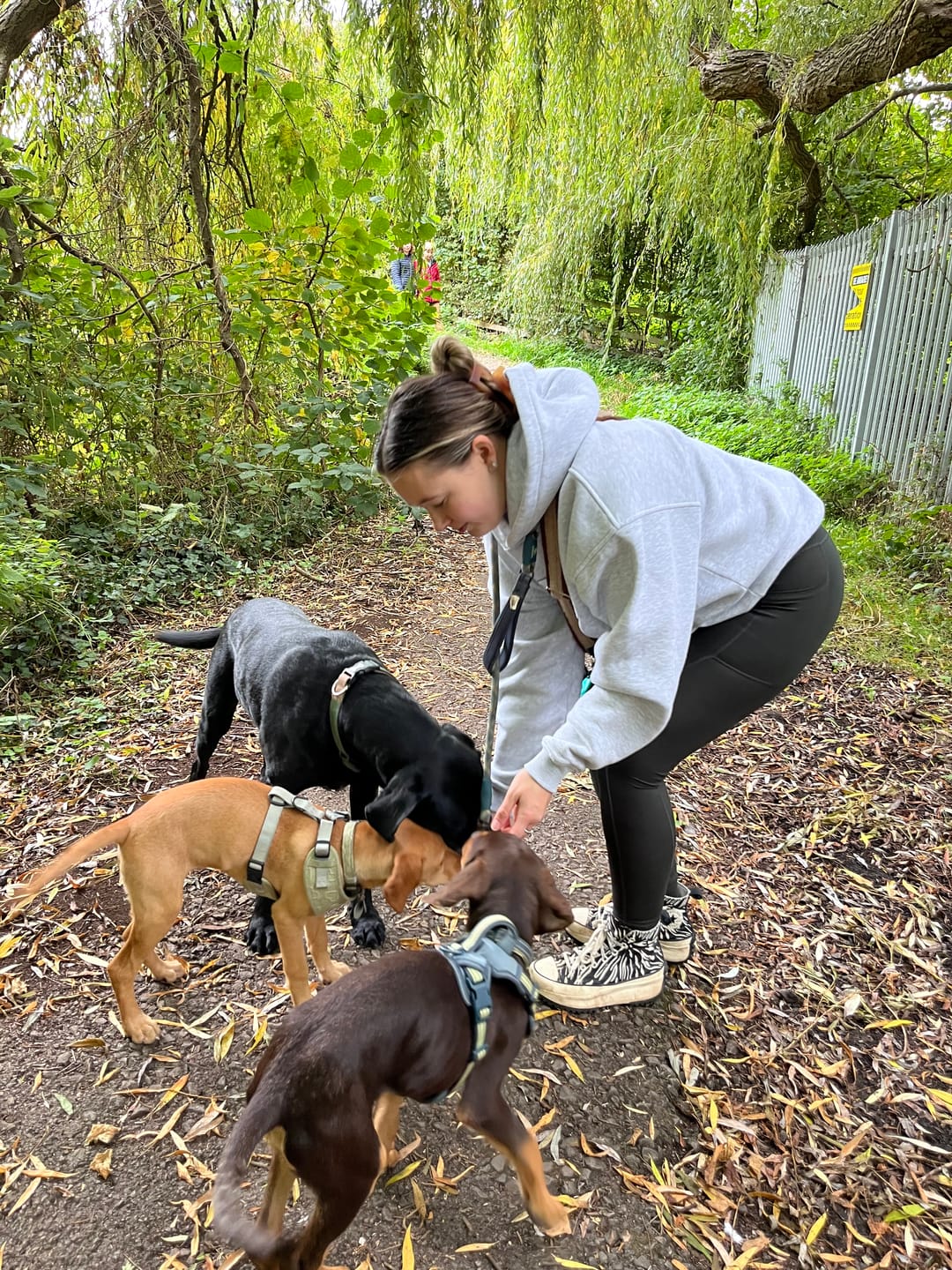 Customer photo review of Walkies Ready® Leggings - Emerald