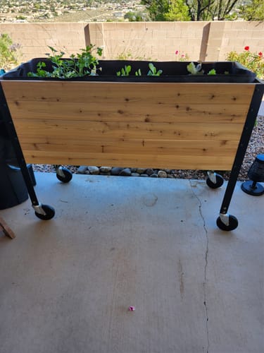 Customer photo review of 18" x 48" Raised Garden Bed - 30" TALL