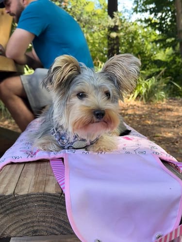 Customer photo review of Disney© Travel Mat - Piglet